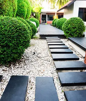 Lawn Maintenance